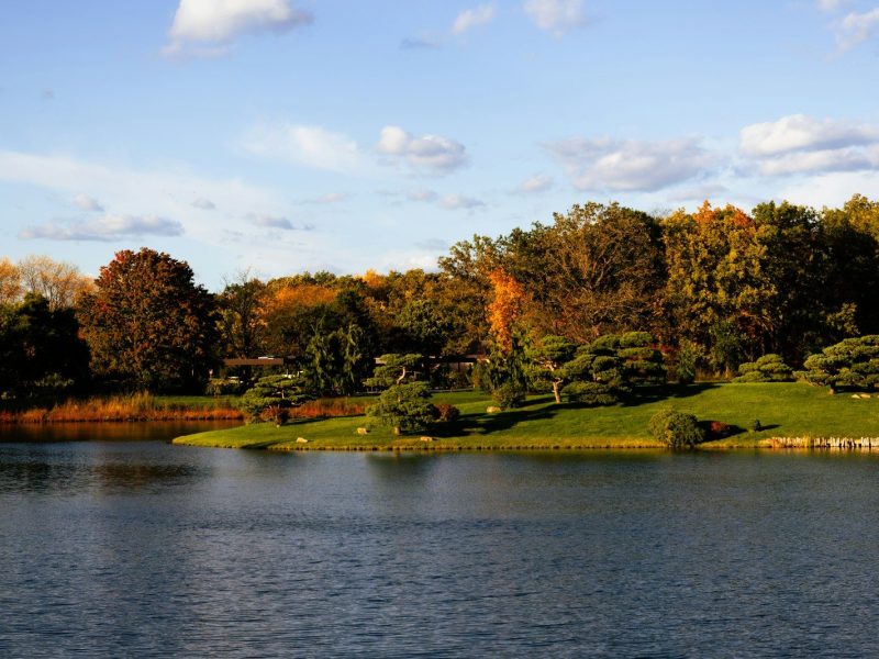 Autumn trees reflected in a calm lake