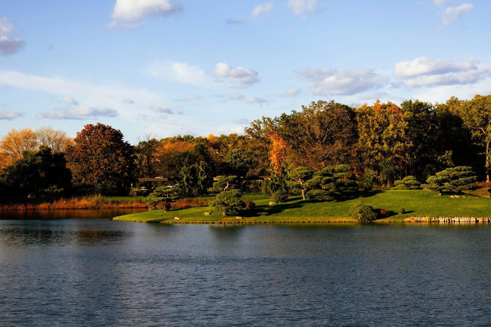 Autumn trees reflected in a calm lake