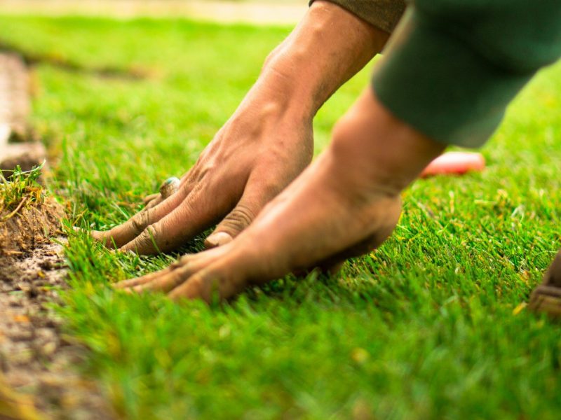 A close up of a person's feet on the grass