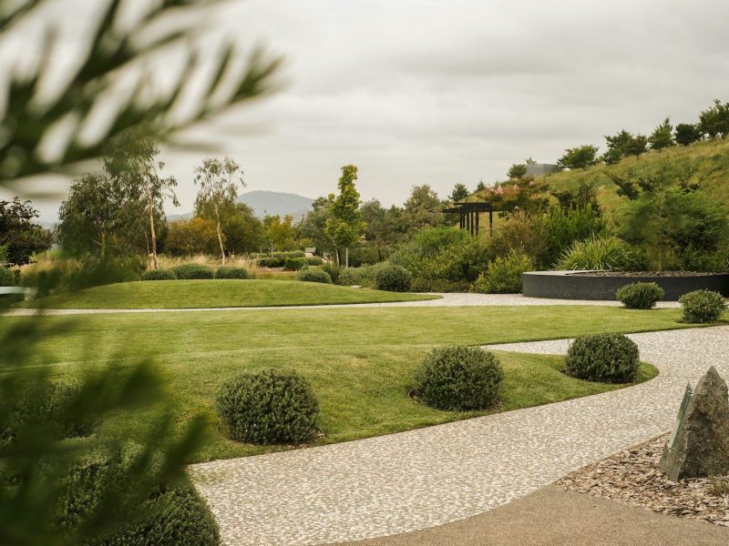 a large green lawn with bushes and trees