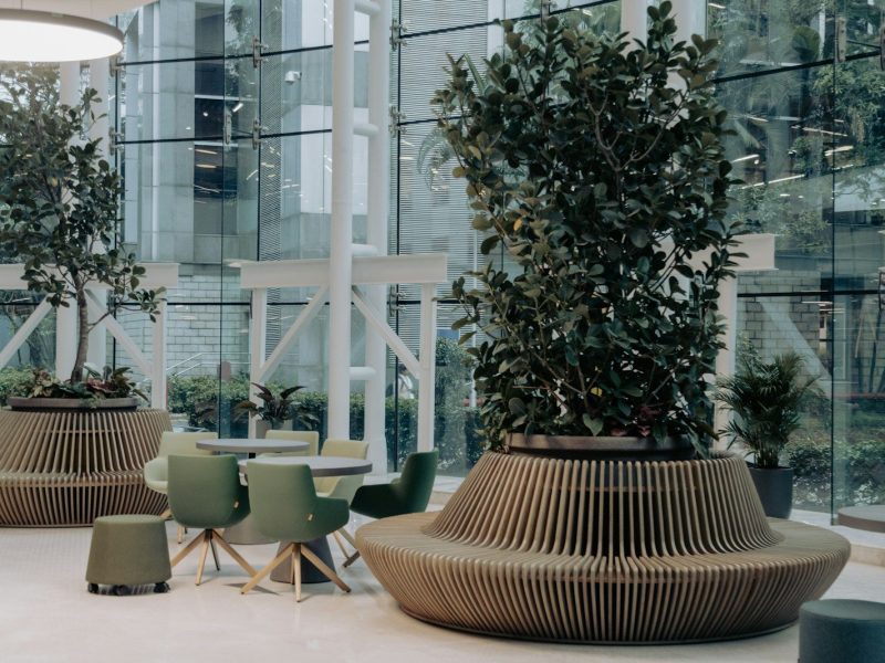 a room with a table, chairs, and potted trees