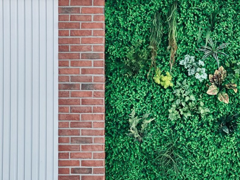 Green wall with brick and white paneling panels